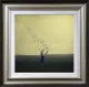 Allow A Little Time To Escape - Framed
