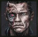 Arnie - Canvas - Black Framed - Framed Box Canvas