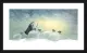 Beautiful Snow - Black Framed