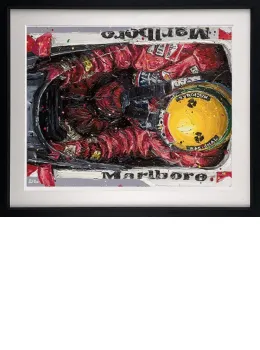 Birds Eye View Senna - Artist Proof Black Framed