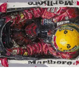 Birds Eye View Senna - Mounted