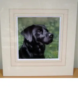 Black Labrador Head Study - Original - Dark Wood Framed