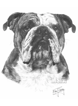 Bulldog - Print only