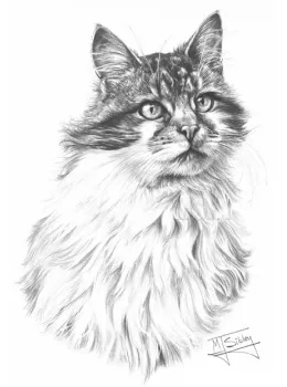 Cat - Print only