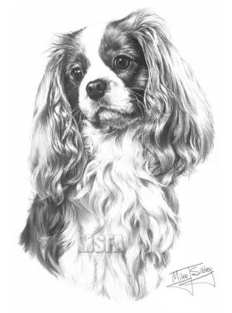 Cavalier King Charles Spaniel - Print only