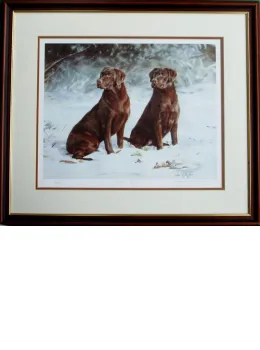 Choc Ice - Chocolate Labradors - Framed