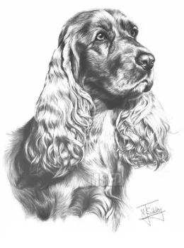 Cocker Spaniel - Print only