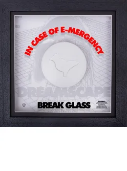 Disco Biscuits (Doves) - Framed