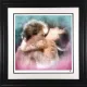 Ditto (Colour) - Artist Proof Black Framed
