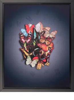 Enlightenment - Lenticular - Black Framed