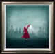 Fallen Star - Deluxe - Framed