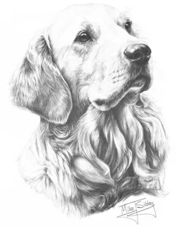 Golden Retriever - Print only