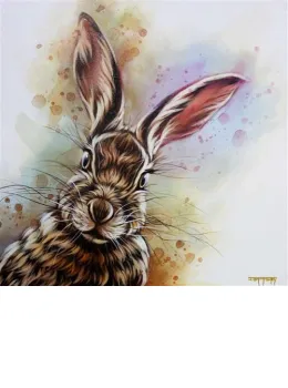 Harry  - Original - Framed
