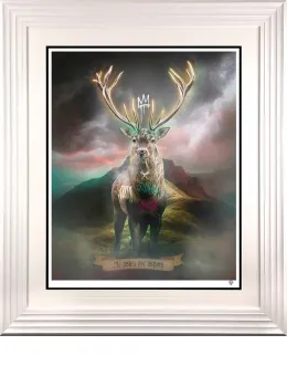 Highland Hunk - Gold - White Framed