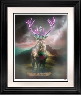 Highland Hunk - Purple - Black Framed