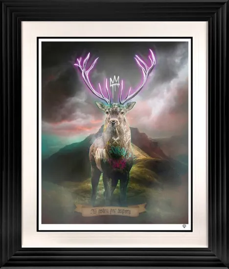 Highland Hunk - Purple Highland Hunk - Purple