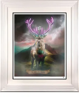 Highland Hunk - Purple - White Framed