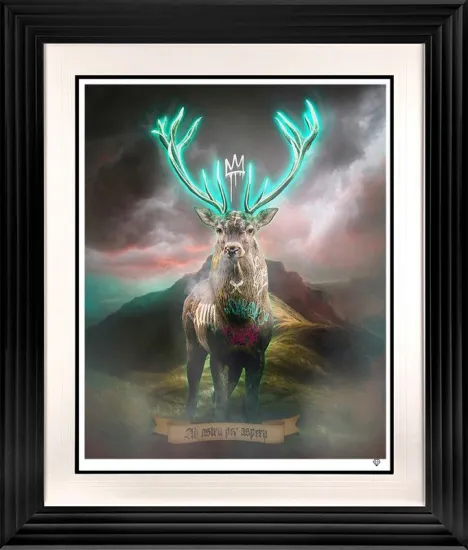 Highland Hunk - Turquoise Highland Hunk - Turquoise
