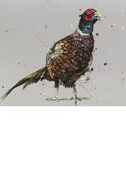 Jack The Pheasant - Mounted