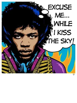 Jimi Hendrix Pop - Mounted