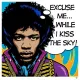 Jimi Hendrix Pop - Mounted