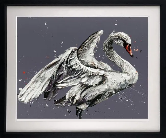 John The Swan John The Swan