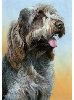 Just Dogs - Brown Roan Italian Spinone II - Print