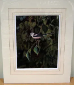 Long-Tailed Tit - Original - Dark Wood Framed
