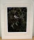 Long-Tailed Tit - Original - Dark Wood Framed