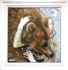 Look For The Light - White-Gloss - Framed