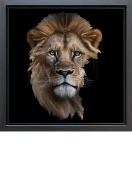 Magnus - Original - Framed