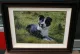 Not Now Spud - Canvas - Dark Wood Framed
