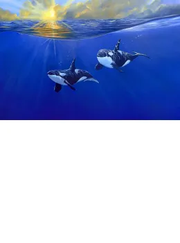 Pacific Patrol - Framed - Framed Box Canvas