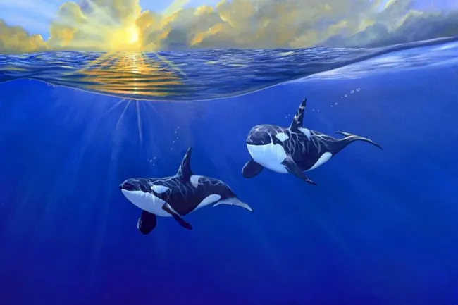 Pacific Patrol Pacific Patrol