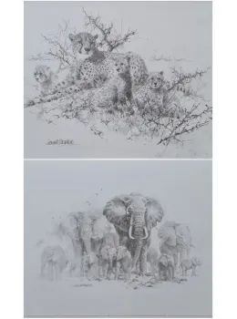 Portfolio Set I - Cheetahs & Elephants (Set Of 2) - Mounted