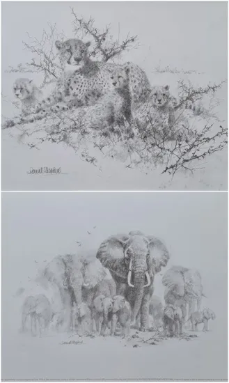 Portfolio Sets - Pencil Sketches Portfolio Sets - Pencil Sketches