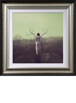 Rejuvenating - Framed