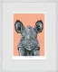 Rhino Rumble - White Framed
