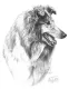 Rough Collie (Side View) - Print only