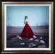 Shedding Masks - Deluxe - Framed