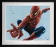 Spiderman 2 - Black Framed