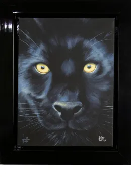 Spirit Of The Forest - Canvas - Black Framed - Framed Box Canvas