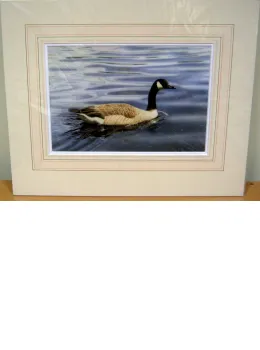 Study Of A Canada Goose - Original - Dark Wood Framed