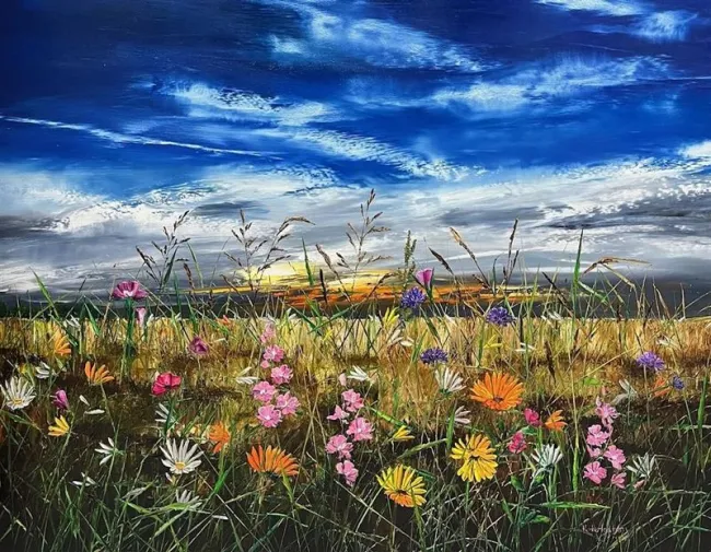 Sunrise Meadows Sunrise Meadows