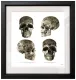 Tattooed Skulls (White Background) - Small Size - Black Framed