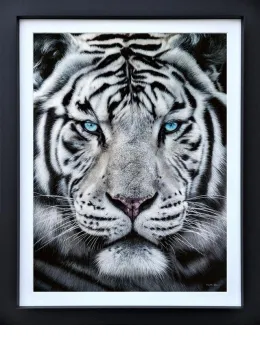 The Silent Warrior - Canvas - Limited Edition - Black Framed
