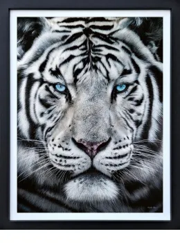 The Silent Warrior - Deluxe Canvas - Limited Edition - Black Framed