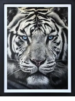The Silent Warrior - Original - Black Framed