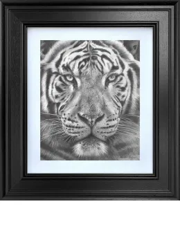 The Silent Warrior - Limited Edition Study - Black Framed
