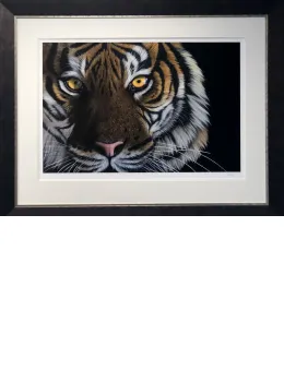 Tiger Eyes - Black Framed